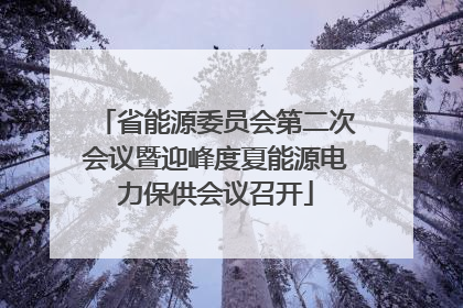 省能源委员会第二次会议暨迎峰度夏能源电力保供会议召开